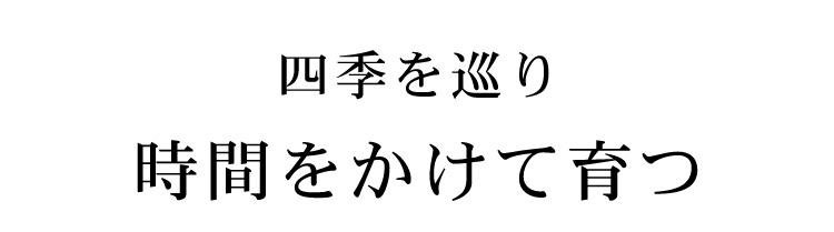 四季を巡り